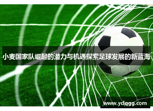 小麦国家队崛起的潜力与机遇探索足球发展的新蓝海