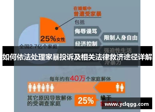 如何依法处理家暴投诉及相关法律救济途径详解
