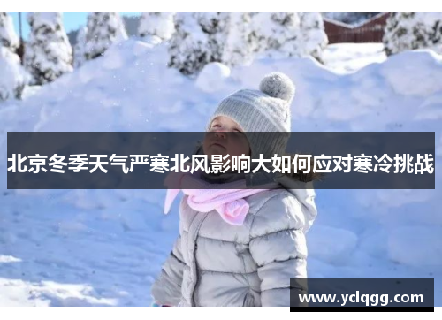 北京冬季天气严寒北风影响大如何应对寒冷挑战