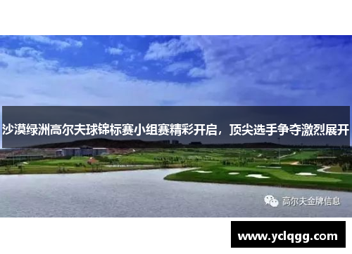 沙漠绿洲高尔夫球锦标赛小组赛精彩开启，顶尖选手争夺激烈展开