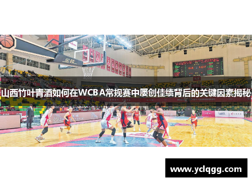 山西竹叶青酒如何在WCBA常规赛中屡创佳绩背后的关键因素揭秘