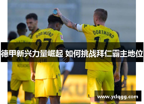 德甲新兴力量崛起 如何挑战拜仁霸主地位