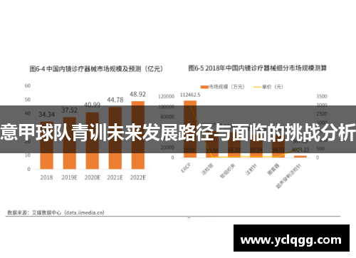 意甲球队青训未来发展路径与面临的挑战分析