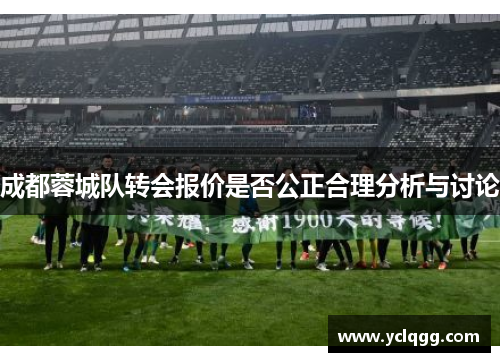 成都蓉城队转会报价是否公正合理分析与讨论