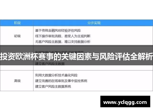 投资欧洲杯赛事的关键因素与风险评估全解析