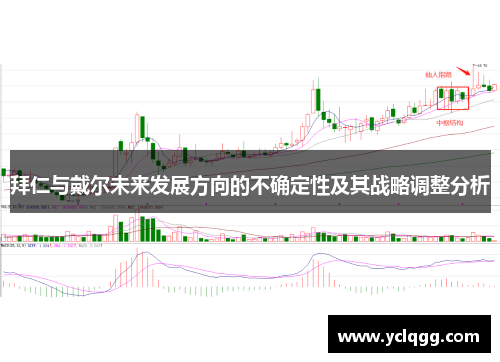 拜仁与戴尔未来发展方向的不确定性及其战略调整分析 拜仁与戴尔未来发展方向的不确定性及其战略调整分析